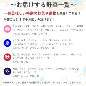 定期便 6回 野菜 セット 8品程度 旬の野菜セット きゅうりトマト なす ピーマン キャベツ 白菜 ほうれん草 山菜 オクラ ブロッコリー みょうが いちご みかん 文旦 びわ 梨 やまもも 高知県