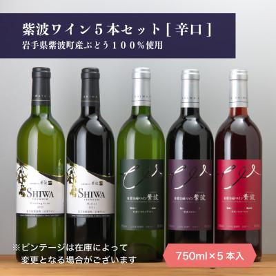 ふるさと納税 紫波町 【自園自醸ワイン紫波】辛口ワイン5本セット