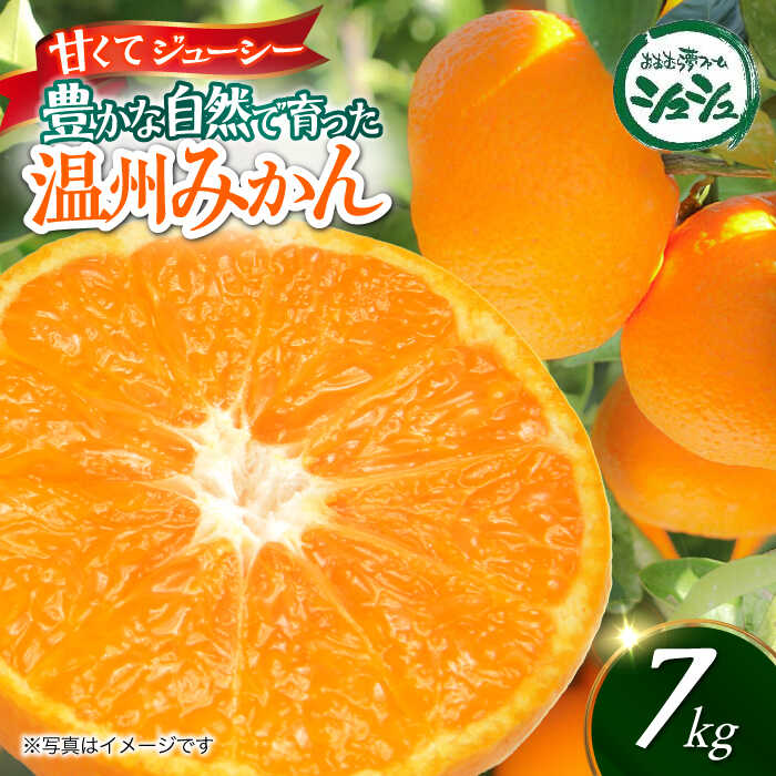【ふるさと納税】【2025年11月上旬より順次発送】みかん 7kg　/ みかん 果実 柑橘 / 大村市 / おおむら夢ファームシュシュ[ACAA378]