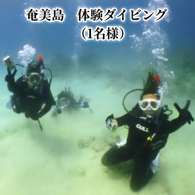 【ふるさと納税】ダイビング 1名様分 奄美島 体験ダイビング 体験 チケット アクティビティ 海 マリンアクティビティ ボート 2.5時間 要予約 1日6名様限定 鹿児島県 奄美市 アクティビティ 運動 スポーツ マリンスポーツ 送料無料