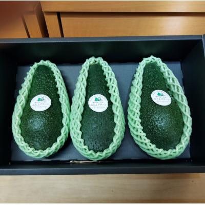 ふるさと納税 香川県 瀬戸内アボカド「みとよグリーン」約1kg(3〜4個) |  | 02