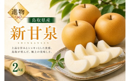 山根農園 新甘泉 ギフト2kg