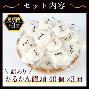 ＜定期便・全3回＞【訳あり】鹿児島の郷土菓子かるかん饅頭(40個×3回・計120個) 鹿児島県産 和菓子 かるかん【津曲食品】T27