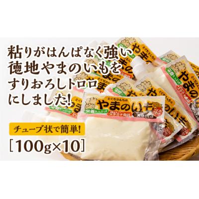 ふるさと納税 山口市 徳地やまのいものすりおろしトロロ　100g×10個 C136