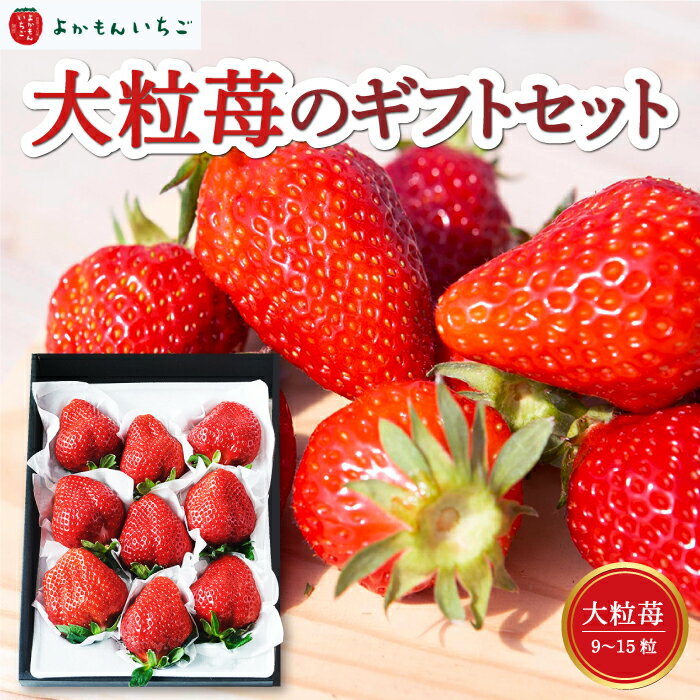 【ふるさと納税】【選べる発送時期】よかもんいちご 大粒苺のギフトセットA いちご 苺 フルーツ 【2026年2月から2026年4月まで順次発送予定】送料無料 福岡県 うきは市