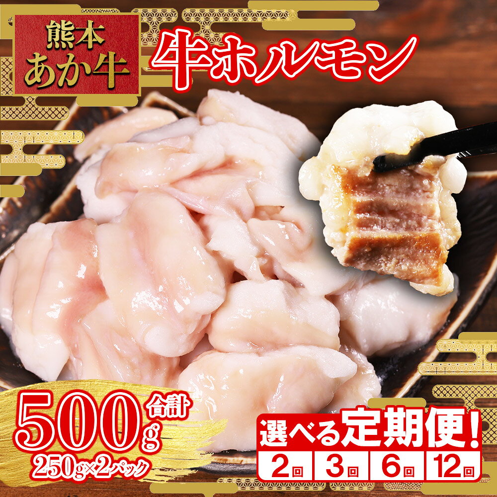 【ふるさと納税】 定期便 希少な和牛ホルモン！ 熊本和牛 あか牛 牛ホルモン 500g (250g×2パック) もつ鍋 焼肉 肉 牛肉 もつ コラーゲン 冷凍 小分け 熊本県 水上村