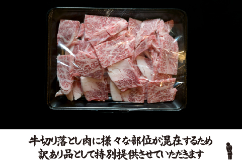 宮崎県産 牛・豚・鶏 焼肉おためしAセット 計1kg（牛肉 豚肉 鶏肉 和牛 焼肉 訳あり 小分け 食べ比べ）