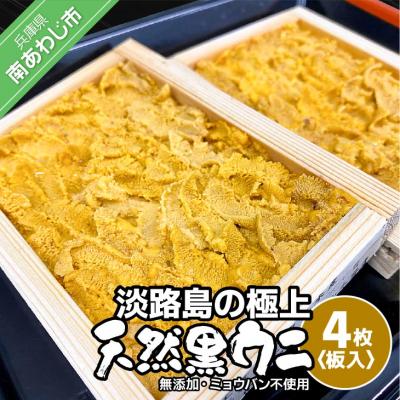 ふるさと納税 南あわじ市 先行受付【花光】淡路島の至極ウニ!天然黒ウニ(板入4枚)【無添加・ミョウバン不使用・期間/数量限定】