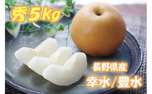 
            MS02-25A 梨 幸水か豊水（長野県産秀品） 約5kg／2025年8月下旬～9月中旬頃 配送予定 // 長野県 南信州 梨 なし ナシ 幸水 豊水 贈答 こうすい ほうすい
          
