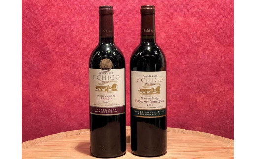 
                  ドメーヌ越後　高級赤ワインセット(750ml×2本)【越後ワイナリー 赤ワイン ドメーヌ ワイン わいん Wine 2本 セット 750ml 酒 お酒】
                