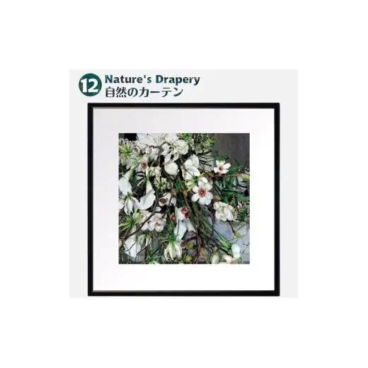 日比谷花壇のフラワーフレームアート Nature's Drapery（自然のカーテン） ソフケン アルミフレーム 25x25cm アートポスター ポスターフレーム 花ポスター インテリア おしゃれ 花