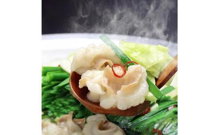 博多鍋セット【6】博多の「人気2大鍋」のセット「九州味噌もつ鍋」と「博多水炊き(切り身)」4～6人前 D26J