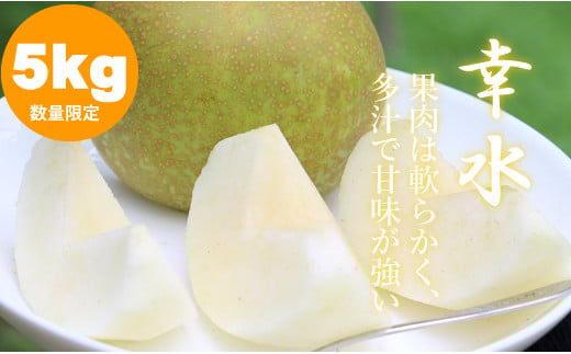 【先行予約】（R8年7月下旬発送予定）もぎたて梨（幸水）5kg（ほたるの郷直売所）