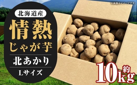 【先行受付】北海道産 情熱じゃが芋（北あかり） Lサイズ 計約10kg 株式会社マルエイ商事 じゃがいも じゃが芋 ジャガイモ 芋 いも イモ 国産【2025年10月下旬～2025年12月上旬迄発送予定】