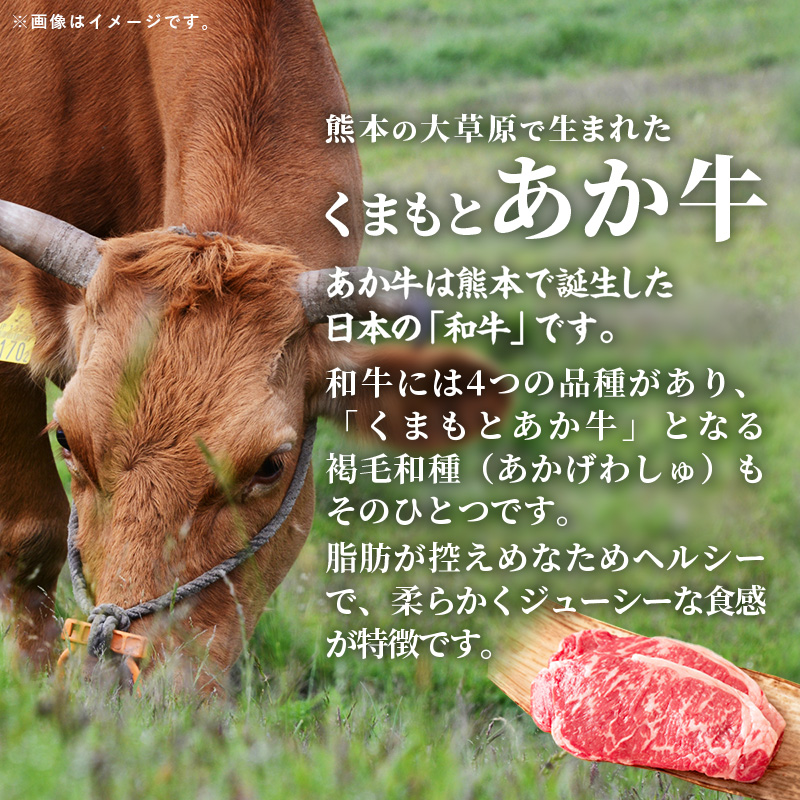 【定期便2回】 GI 認証 くまもとあか牛 ロースステーキ 約500g - 肉 お肉 牛肉 くまもとあか牛 あか牛 和牛 ステーキ ロース 冷凍 国産 九州産 熊本県産 熊本県 甲佐町_イメージ3