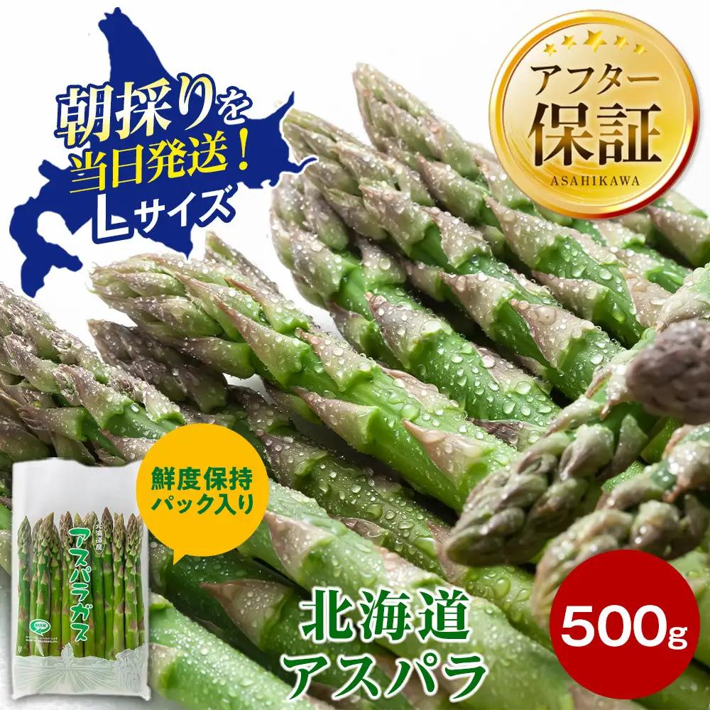 【2027年先行予約】露地物朝採りアスパラ　鮮度保持フィルム入り　Lサイズ　500g×1（5月中旬発送開始予定）| アスパラ 北海道 _04750