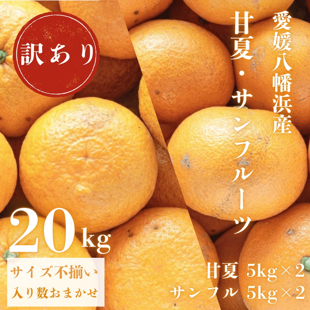 
                  甘夏&サンフルーツ各10kg＜訳あり＞＜F20-85＞【1625136】 YWTI080
                