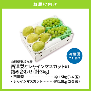 2025年 東根市産 シャインマスカット秀品＆西洋梨3kg詰め合わせ 山形県 東根市 　hi027-168-1（先行予約 令和7年産 山形県 東根市 果物 フルーツ ぶどう シャインマスカット 梨 西