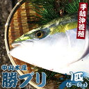 【数量限定】中山水産 手結沖養殖「勝ブリ」1匹（5kg〜6kg）- 期間限定 魚 ぶり 鰤 寒ブリ 海鮮 鮮魚 魚介類 海の幸 ギフト お刺身 煮物 焼き魚 おかず 産地直送 のし対応可 送料無料 高知県 香南市【冷蔵】