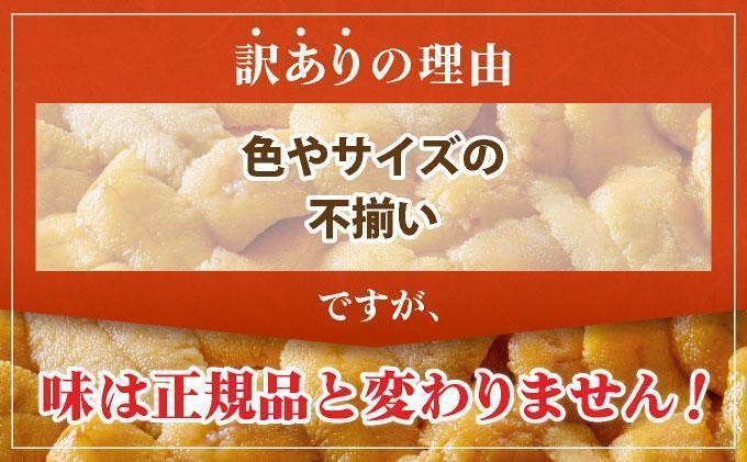 ＜先行予約＞ 北海道産 ムラサキウニ（訳あり）600g【ogm-044】生うに 塩水うに ミョウバン不使用 海鮮 訳あり 国産 北海道 伊達 ふるさと納税 600g