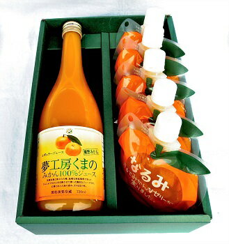 【ふるさと納税】定番みかんジュースと「なるみ」の詰め合わせ♪【レギュラージュース720ml×1本・なるみ5個】 化粧箱 オレンジジュース みかんゼリー プレゼント 贈答用 三重県 熊野市