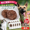 【ふるさと納税】【全12回定期便】ペットフード 鹿肉 100%ハンバーグ 10個セット ペット 愛犬 愛猫 おやつ ご褒美 ごはん 猫 犬 てづくり 国産 ドッグフード 【ペットフードYM japan】[AKEX013]