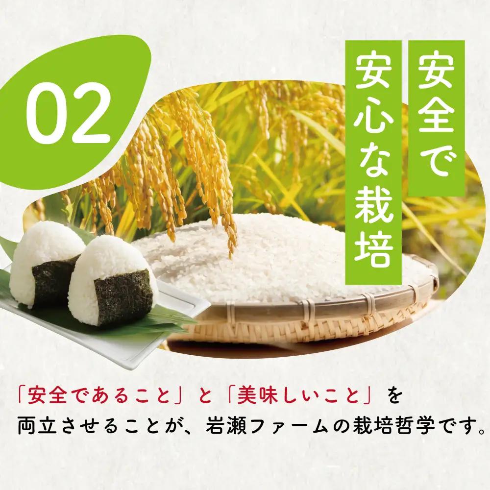 新米【9月以降発送】コシヒカリ10kg｜新米