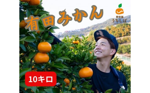 
和歌山県産 濃厚な甘さ 完熟有田みかん 10kg 農家直送
