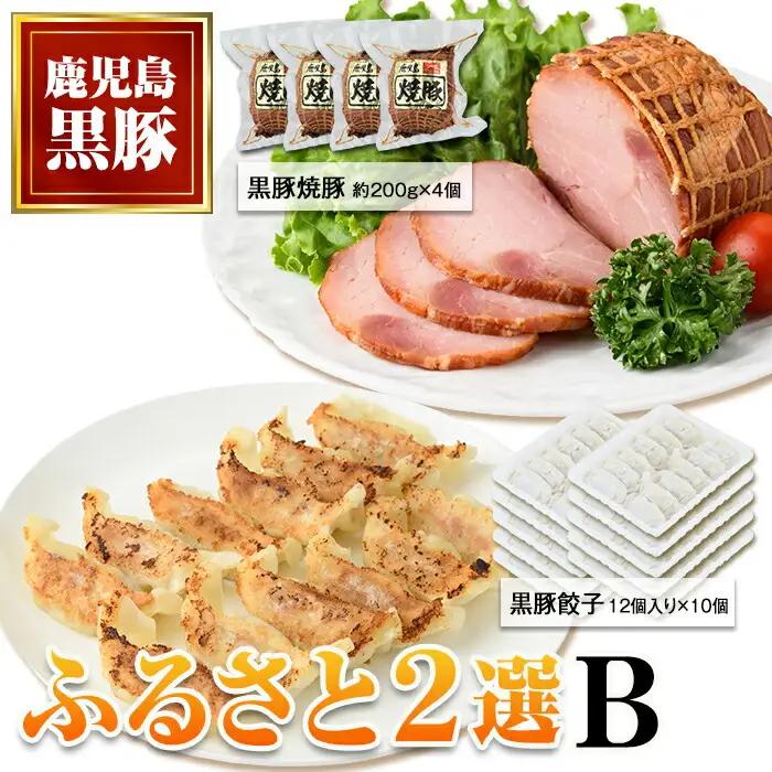 ふるさと2選B 焼豚(約200g×4個・計800g)と餃子(12個入×10パック・計120個)のセット 鹿児島 国産 九州産 黒豚 豚肉 お肉 焼豚 餃子 冷凍 おかず ギフト 贈答 特別な日に【和田養豚】B02104