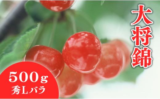 08-01-023　さくらんぼ(大将錦)500g