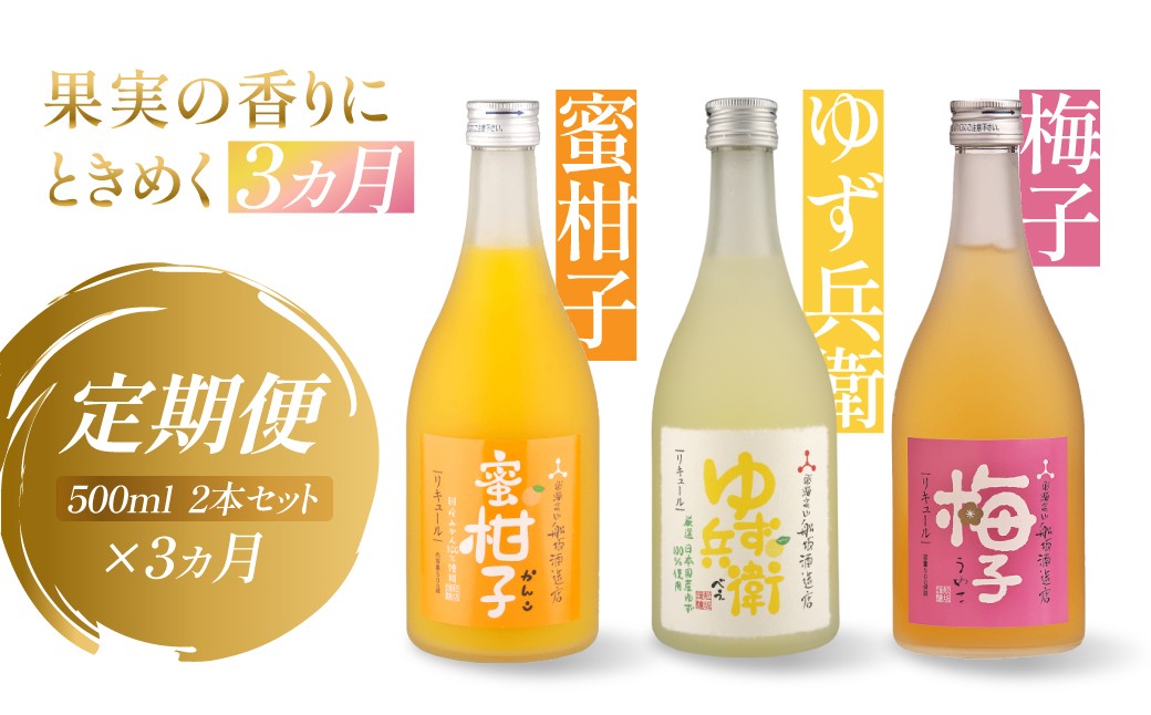 
                  【定期便】全3回 月ごとに変わる果実のごほうび　ゆず・梅・みかんの果実の香りにときめく3カ月 ❘ リキュール 果実酒  日本酒 飲み比べセット 舩坂酒造  飛騨高山  FB110
                