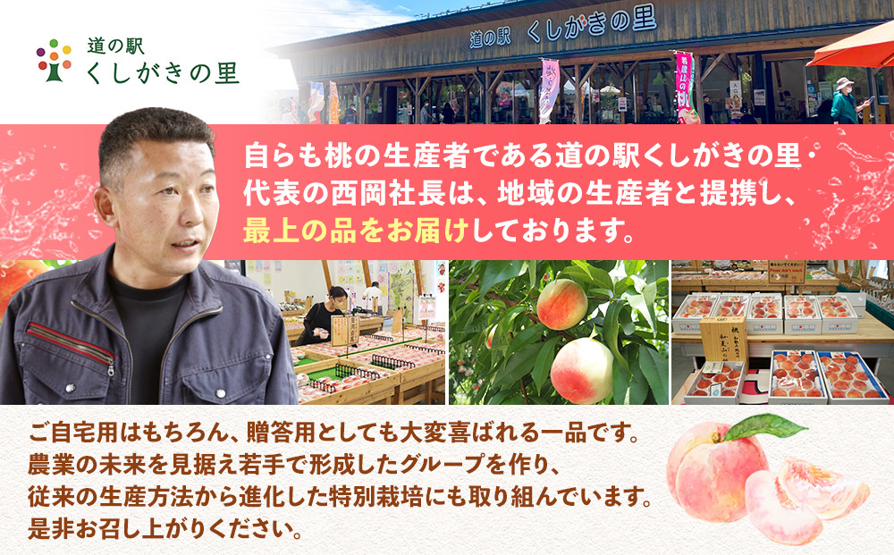 先行予約！［モモ］川中島白桃　約2kg 6～8個入［2026年7月末頃から順次発送］［秀品］こだわり農家厳選 ［KG13］