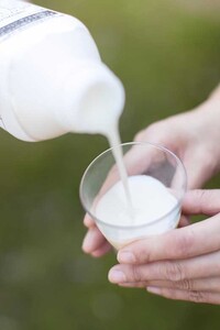 八海山　麹だけでつくったあまさけ１１８ｇ×２０本