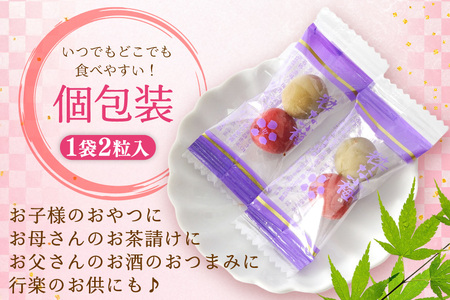 【やばいだろ】粋な小梅 2粒×30 計60粒 カリカリ梅干し 国産 個包装