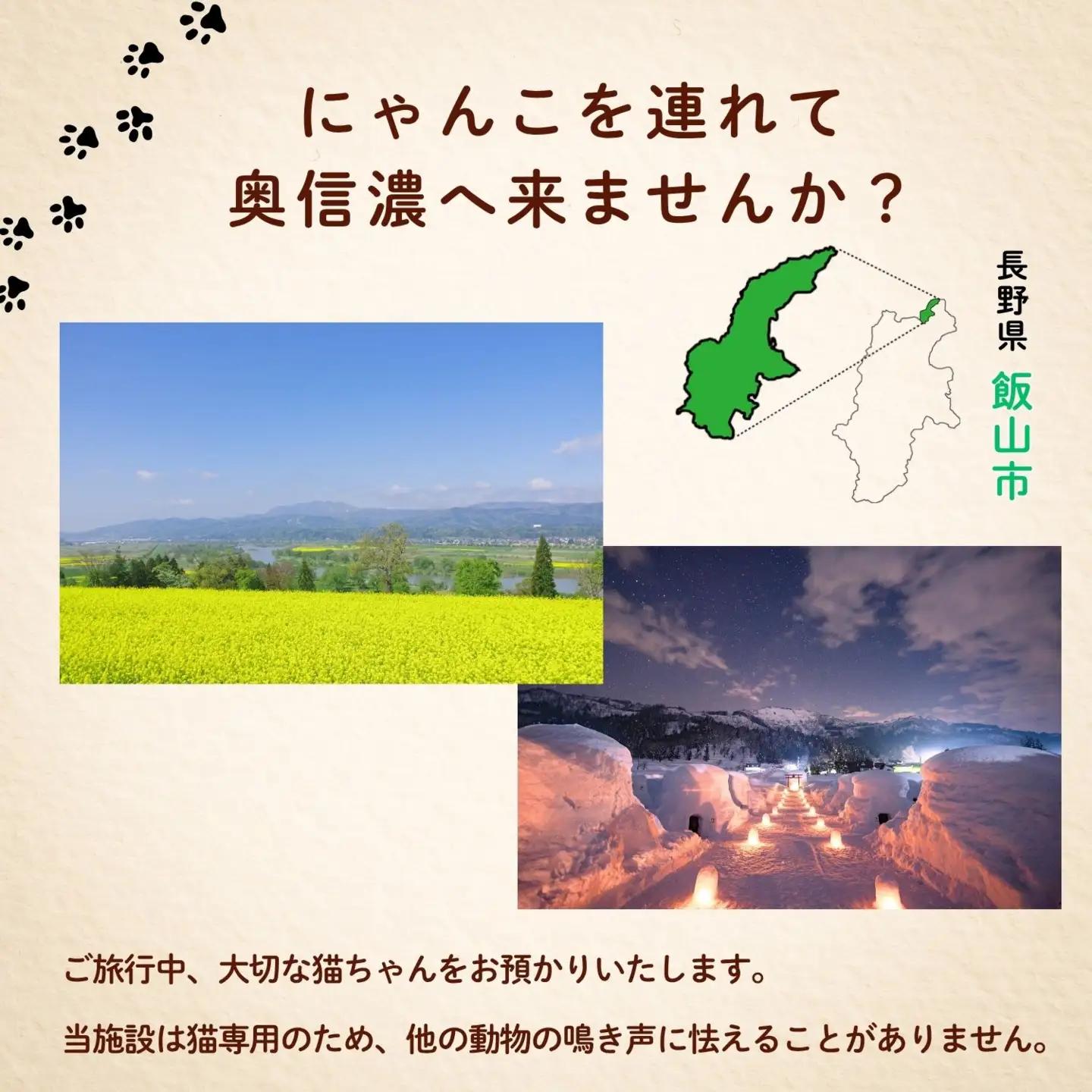 【長野県飯山市】にゃんほてる（猫専用ペットホテル） リバティベル 利用券3,000円分（T-17） 