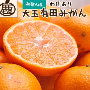 家庭用　大きな有田みかん5kg+150g（傷み補償分）【わけあり・訳あり】【光センサー選果】＜11月より発送＞