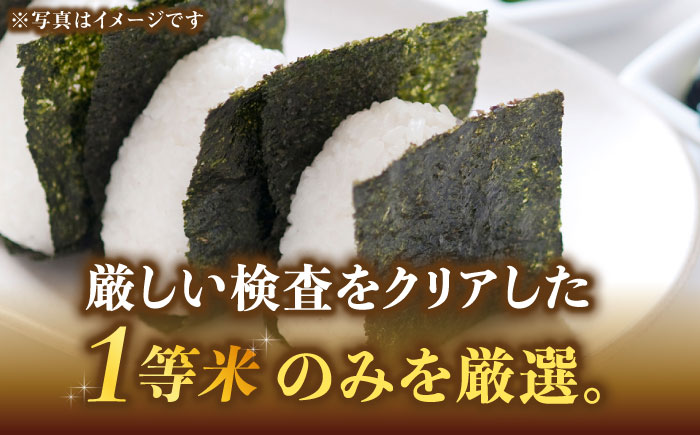 【先行予約】【令和7年産】福岡県産ブランド米「元気つくし」白米 20kg (5kg×4袋)【2025年11月以降順次発送】《築上町》【株式会社ゼロプラス】 [ABDD005]  