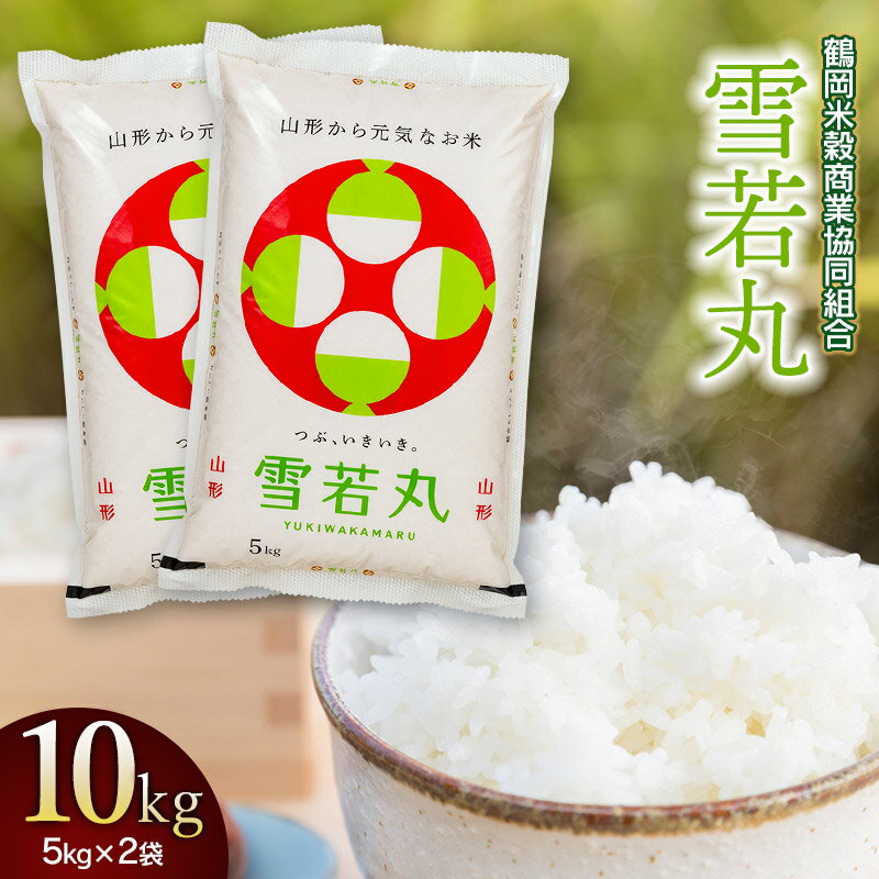 【ふるさと納税】【令和6年産】雪若丸 精米 10kg（5kg×2袋） 山形県庄内産　鶴岡米穀商業協同組合