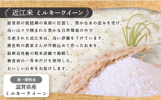 近江米　ミルキークイーン　白米10kg　令和5年産 BD04