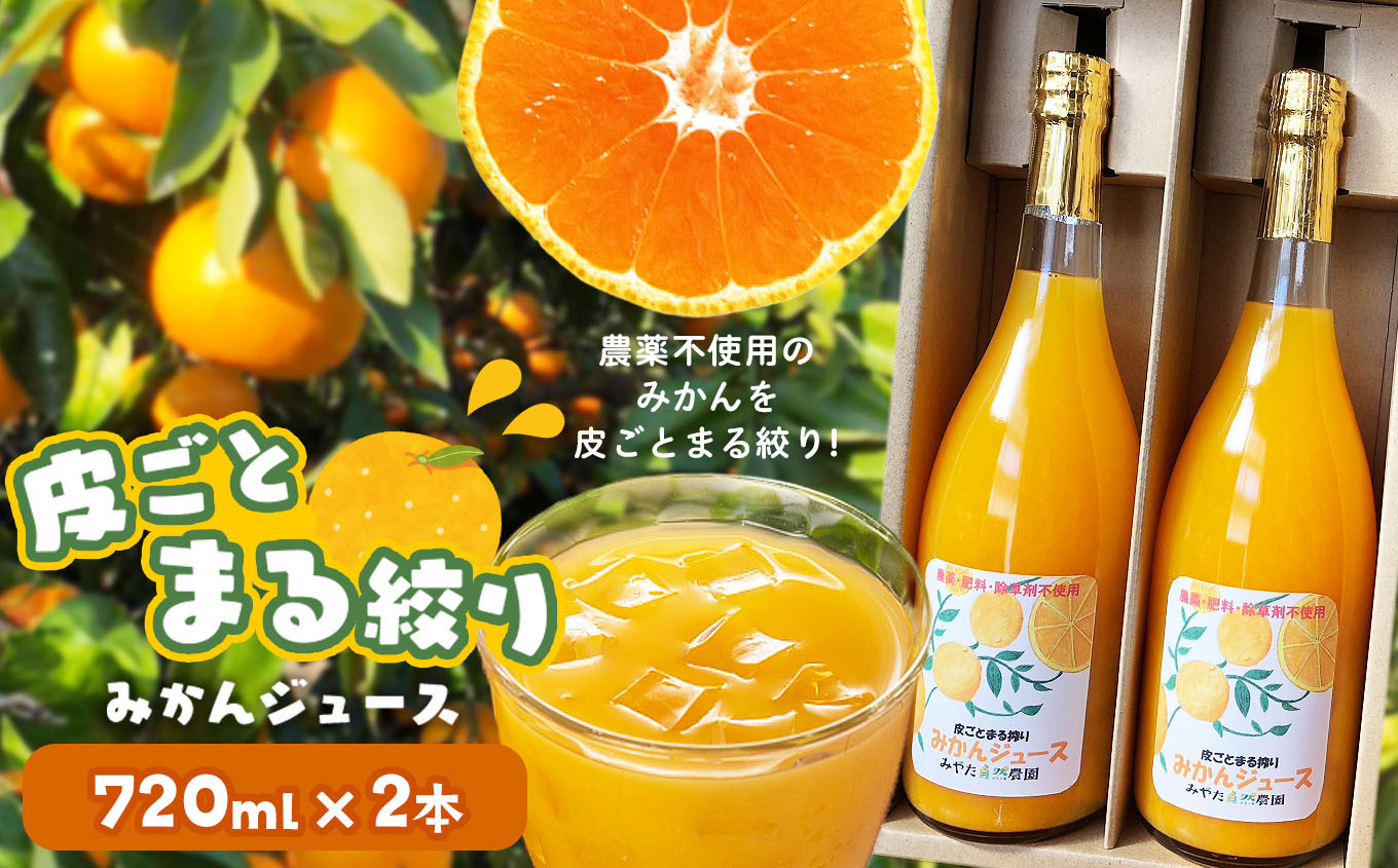 
                  皮ごとまる絞り みかん ジュース 720ml×2本 | 果物 くだもの フルーツ 柑橘 柑橘類 みかん ジュース 皮ごと 丸ごと 熊本県 玉名市 有機栽 培無農薬 100％
                