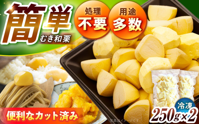 【9月下旬より順次発送】冷凍むき栗「日本栗」 カット500g（250g×2P）/ 栗 冷凍 生栗 くり むき栗 マロン 低温熟成 日本栗 国産 和栗 岐阜県産 恵那市産 産地直送 送料無料 お取り寄せ ギフト 贈答 / 恵那市 / えな笠置山栗園 [AUAV006]