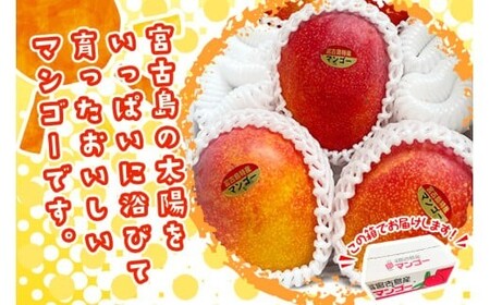 JH001　宮古島産マンゴー１㎏【㈱フラモン】