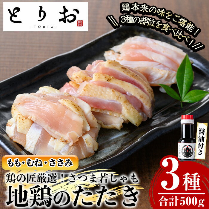 【ふるさと納税】さつま若しゃも地鶏のたたき(鶏刺し)カット済み/プレーン(合計500g・100g×5/さしみ醤油付き) 国産 鹿児島県産 鶏肉 鳥肉 地鶏 地どり 鳥刺し 鶏刺し たたき もも肉 モモ肉 むね肉 ムネ肉 ささみ ササミ 冷凍 刺身 小分け【野元商店】