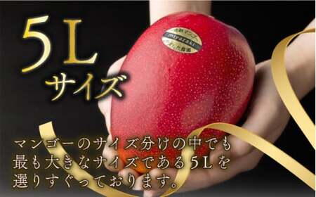 ＜先行予約＞糖度15度以上の宮崎完熟マンゴー(5L×1玉入・贈答用) ＜ギフト用＞1箱_K005-011