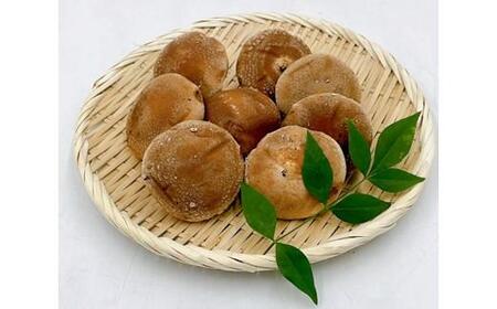内子町産 生しいたけ（菌床栽培）約240g×2パック｜しいたけ しいたけ しいたけ しいたけ しいたけ