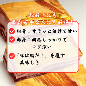 【チャーシュー専門店ミートポーク山水】生ベーコン【完全無添加】約1kg ／ SPF SPF豚 SPF豚肉 林SPF 豚肉 豚バラ 生ベーコン ベーコン 無添加