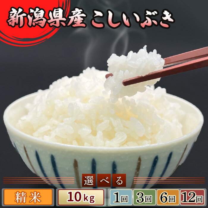 【ふるさと納税】米 新潟県産 こしいぶき 10kg 小分け 5kg×2袋 定期便 選べる 1回 3回 6回 12回 3ヶ月 6ヶ月 12ヶ月 新潟こしいぶき 精米 白米 お米 新潟県胎内市産こしいぶき（中条農産）