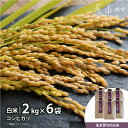 【ふるさと納税】＜令和5年米＞熊本県阿蘇うぶやま産こしひかり2kg×6袋《60日以内に出荷(土日祝除く)》