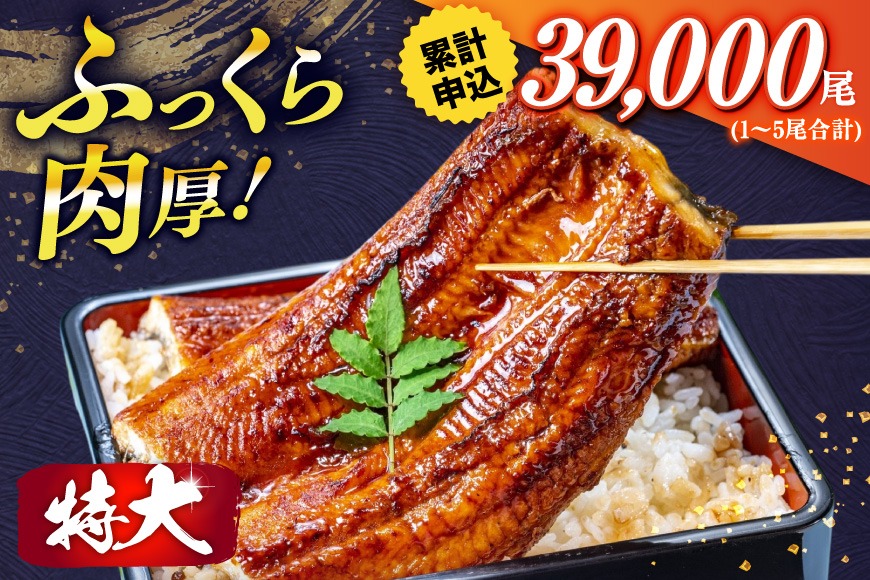 うなぎ 小分け 蒲焼 4尾 特大サイズ 約 1.5kg 肉厚 タレ・山椒付 茶葉蒸し [大黒物産 福岡県 宇美町 um40bak830002] 鰻 ウナギ うなぎ蒲焼 鰻蒲焼き 訳あり 蒲焼き かば焼き 真空パック 個包装 冷凍 unagi