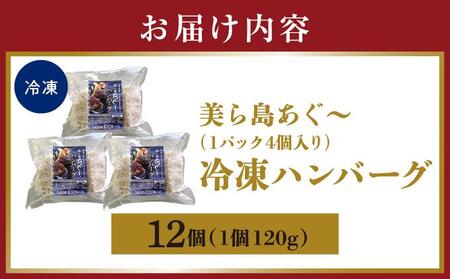 【美ら島あぐ～】冷凍ハンバーグ（12個入り）